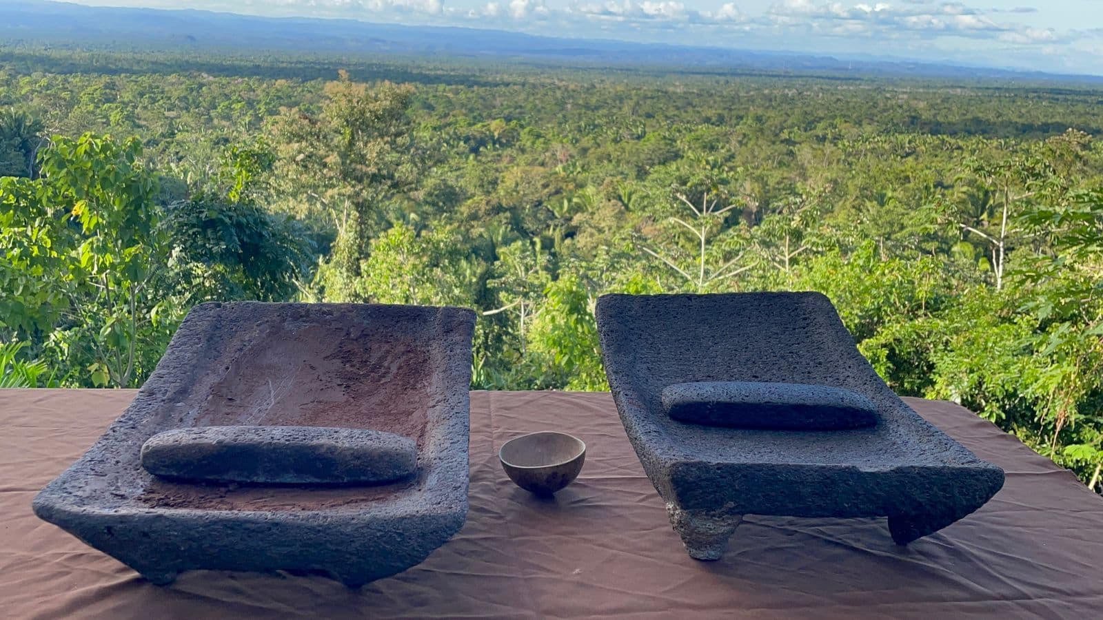 Rubber Tree Chocolate Making, Copal & Cultural Fire Experience + Waterfall photo 3