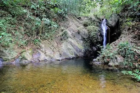 Jaguar Reserve River Tubing + Waterfall Hike photo 3