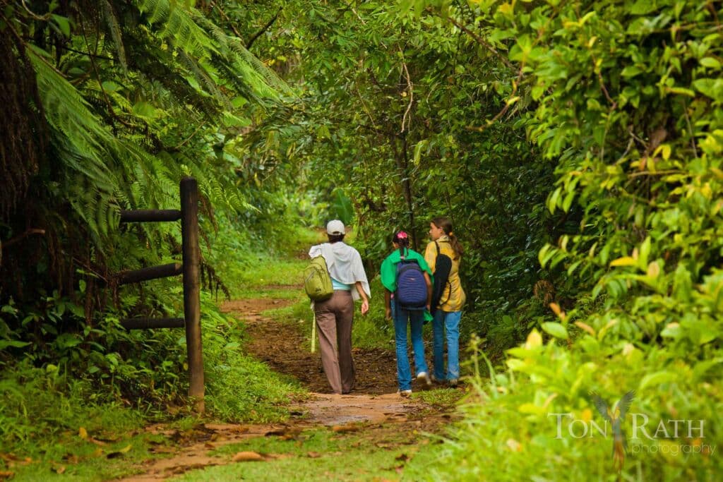 Jaguar Reserve River Tubing + Waterfall Hike photo 2