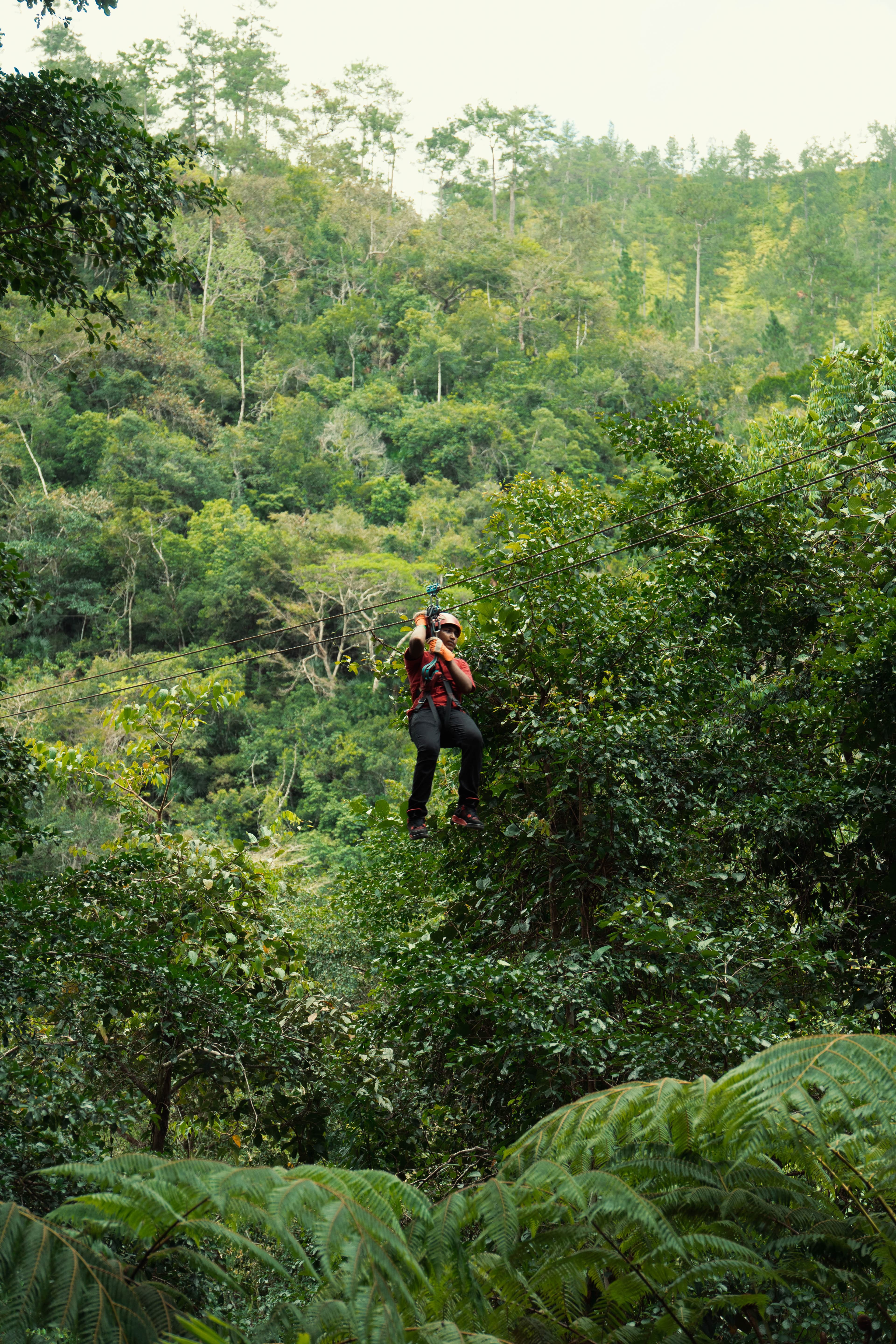 Zip Lining + Waterfall Adventure photo 2