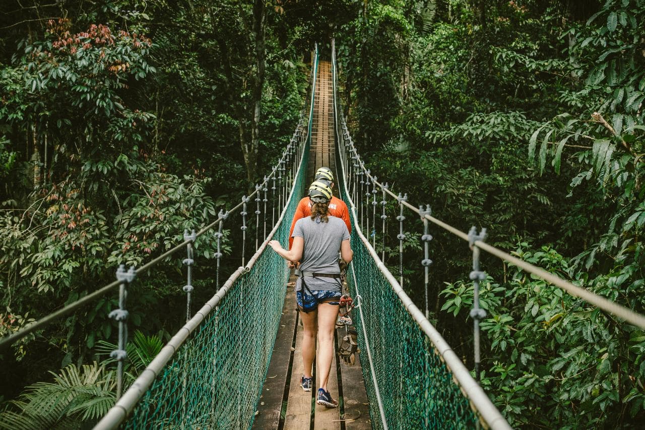 Bocawina Jungle Zipline Adventure